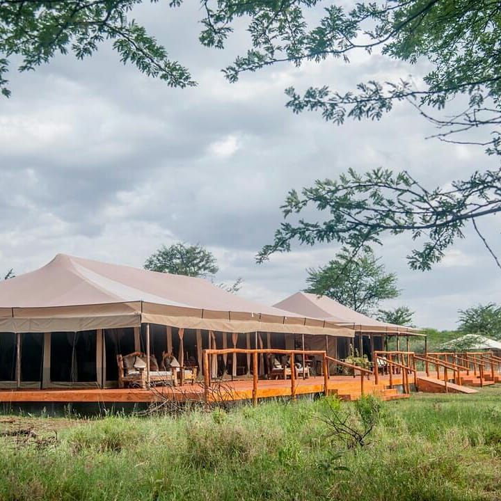Accommodation during the great wildebeest migration