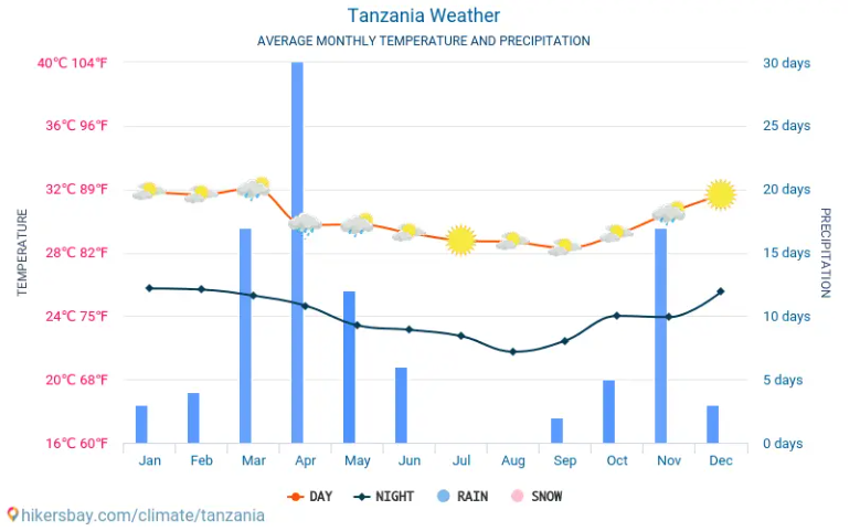 average rainfall in tanzania